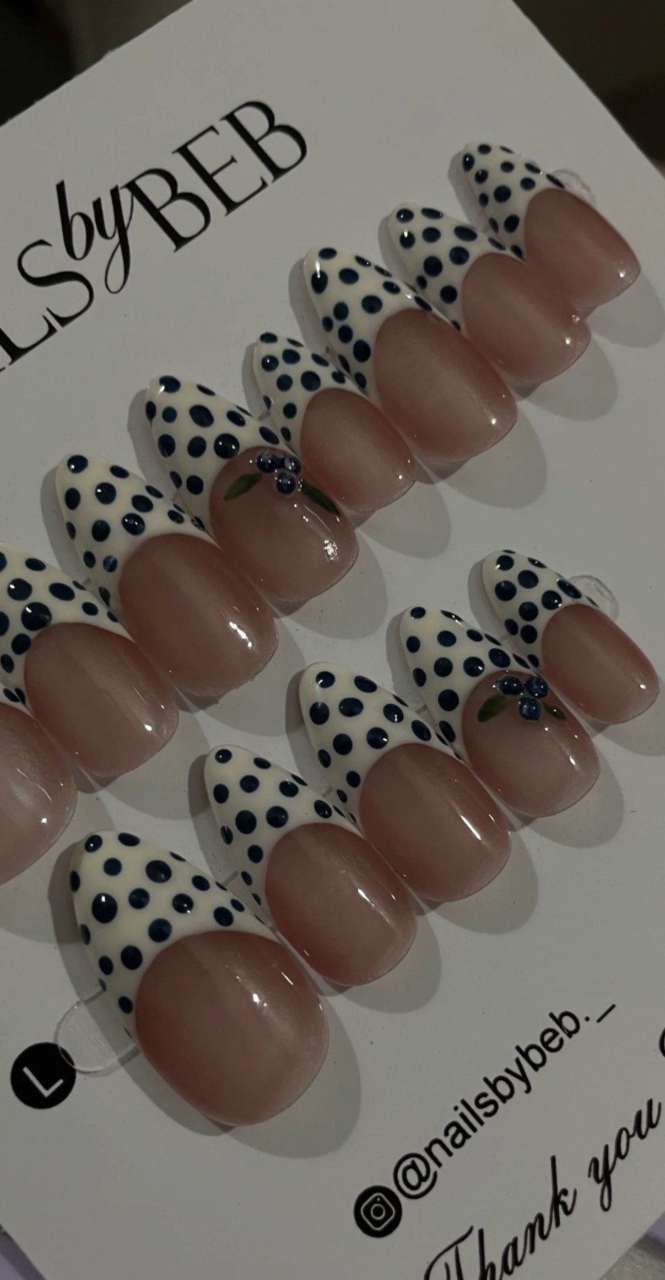 Dotted daisy
