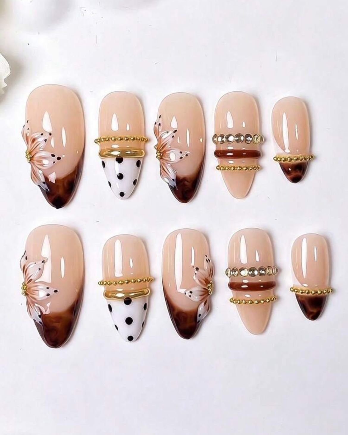 Tortoise Butterfly Chic